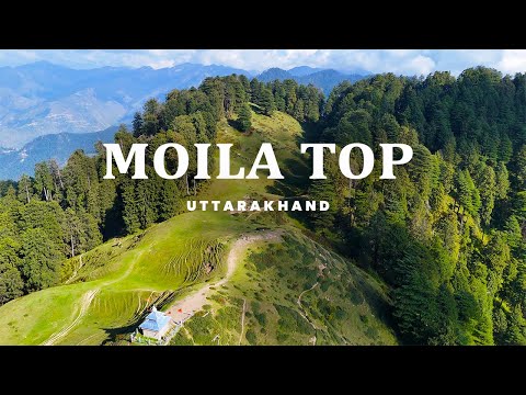 Social Media Content